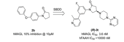 esball(中国区)官方网站