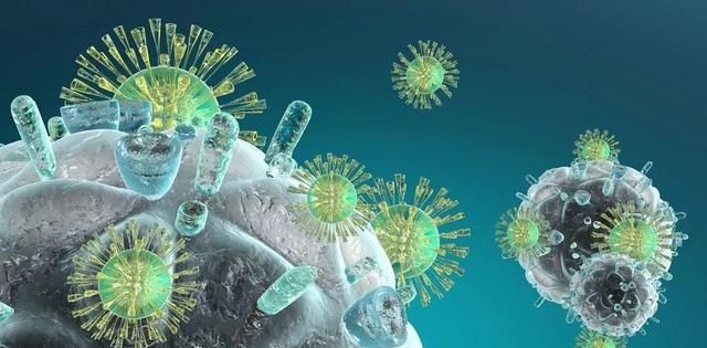 esball(中国区)官方网站