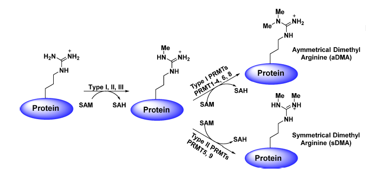 esball(中国区)官方网站