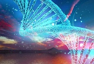 【盘点】抗肿瘤药物--精氨酸甲基转移酶（PRMT5）抑造剂的钻研新进展