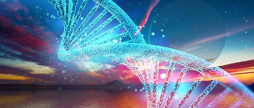 esball(中国区)官方网站