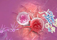 【盘点】高选择性mTOR抑造剂的钻研过程