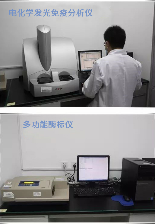 esball(中国区)官方网站