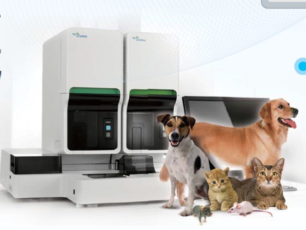 esball(中国区)官方网站