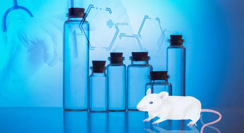 esball-您梦想的DMPK钻研同伴