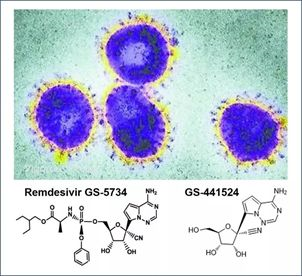 基于细胞因子风暴和免疫炎症反映综合征，好多免疫有关靶点也能够列为冠状病毒的靶点。