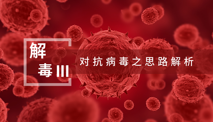 【解“毒”III】匹敌病毒之思路解析