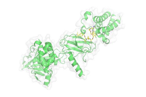 PROTAC技术，马兴泉