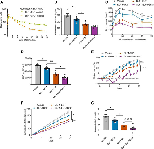 GLP1-ELP-FGF21双激昂剂融合蛋白对血糖和体沉拥有有效且持续的作用 esball