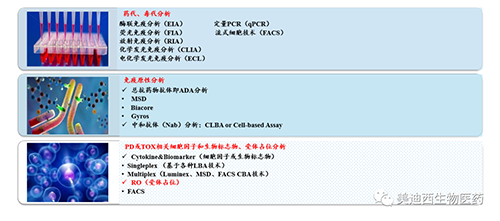 esball生物技术药物分析部服务内容