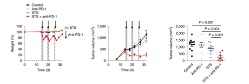 与对照组及仅使用PD-1疗法的模型幼鼠对比，选取短期饥饿共同PD-1疗法的393P细胞同源移植肿瘤幼鼠体内的肿瘤体积有了显著的收缩。