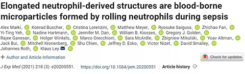 一种神秘颗粒被发现了 ！它能否成为败血症早筛标志物？
