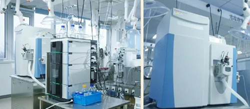 esballDMPK分析服务