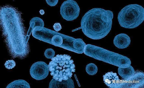 20分钟，大无数细菌都能够繁衍一代 esball生物医药