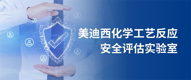 esball化学工艺反映安全评估尝试室 