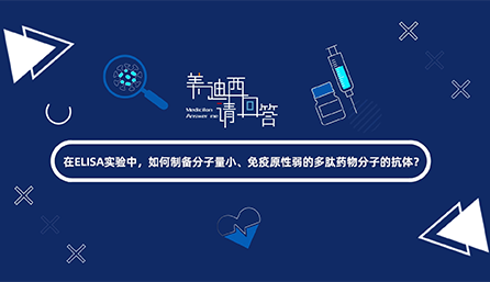 在ELISA尝试，若何造备分子量幼、免疫原性弱的多肽药物分子的抗体？