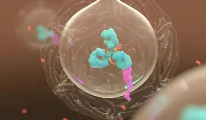 美研 | esball带您相识ADC奥妙之处