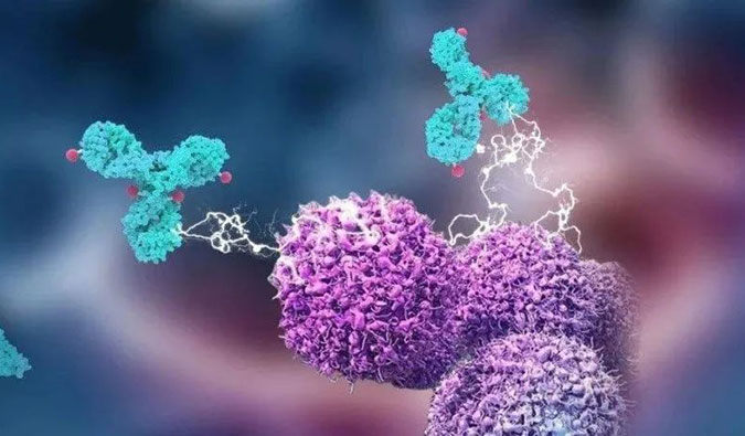 esball助力国产靶向叶酸受体FRα ADC注射用BAT8006获批临床