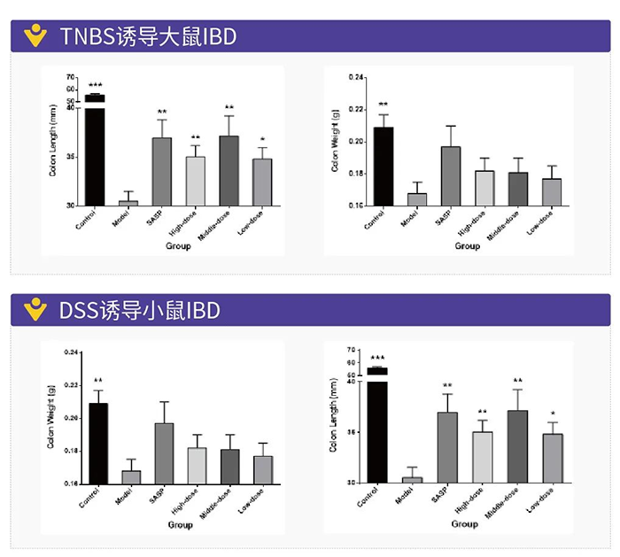 TNBS诱导的大鼠IBD和DSS诱导的幼鼠IBD.png