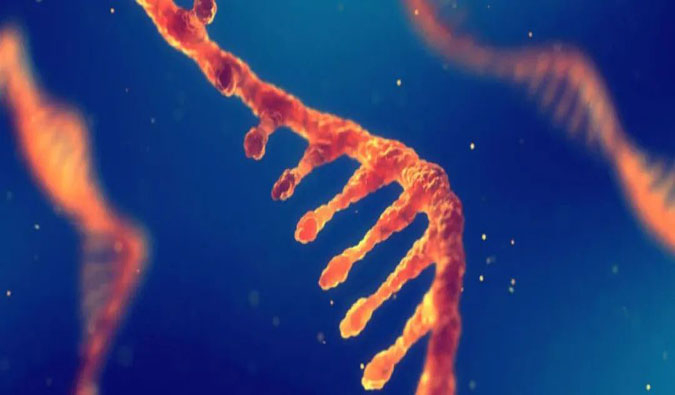 赋能核酸药物疗法，迎接新药研发第三次海潮