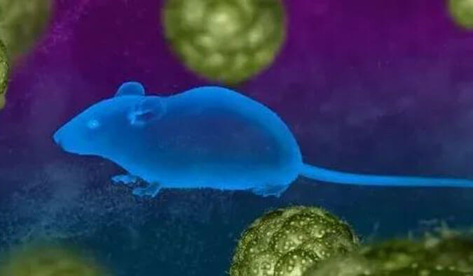 esball药效服务赋能First-in-Class泛素化抑造剂研发