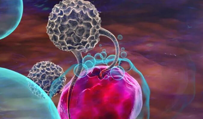 esball助力英百瑞CAR-raNK细胞疗法获批临床