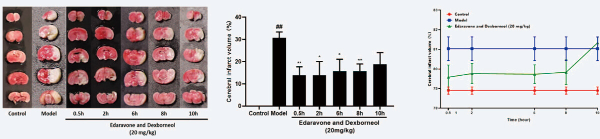 时效关系调查（TTC和脑含水量）（ mean±SEM）.jpg