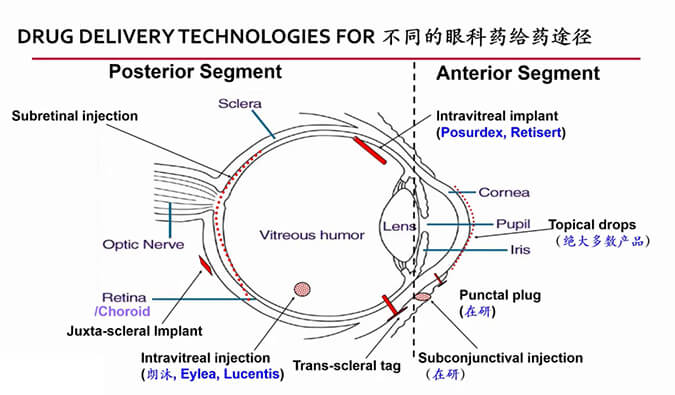 【内附回放+下半场预约】esball眼科药物专题钻研会上半场杰出回首