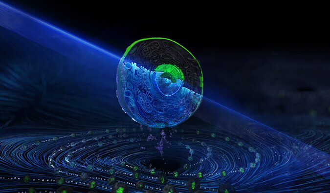 esball流式细胞分选服务平台