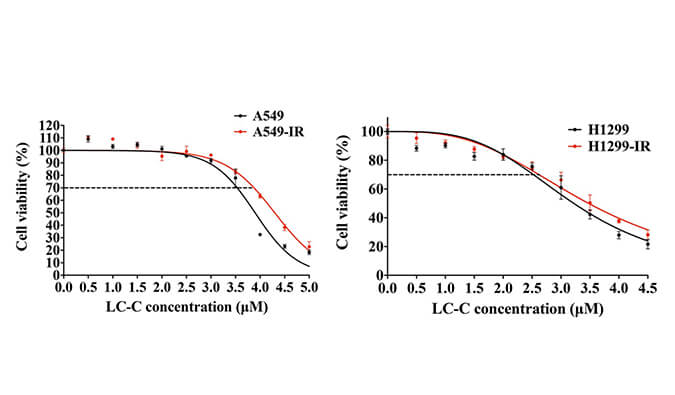 放射疗法用作肺癌的重要医治步骤，本钻研中成立抗电离辐射肺癌细胞系的放射医治通过esball进行