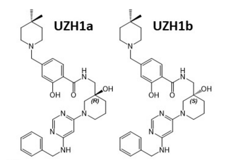 钻研人员汇报了一种拥有细胞渗入性的选择性METTL3纳摩尔抑造剂UZH1a，作者感激esball合成了UZH1a和UZH1b