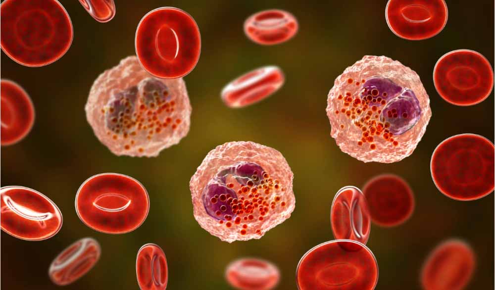 esball助力 | 全球初创！宇耀生物STAT3双磷酸化抑造剂YY201获批临床.jpg