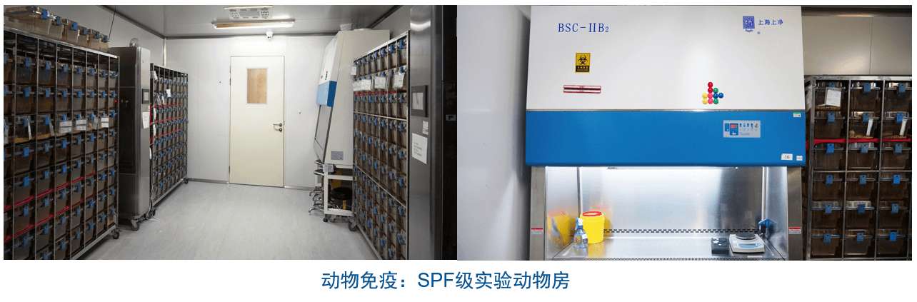 esball杂交瘤技术平台设备-动物免疫SPF级尝试动物房