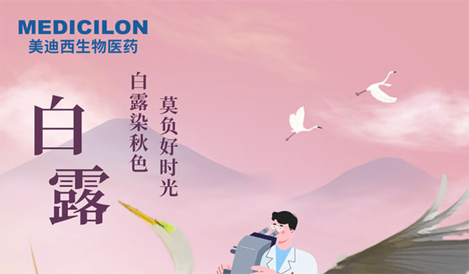 白露 | 白露染秋色，莫负好时光