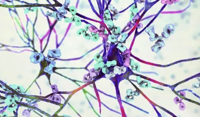 esball镇痛药效评价模型