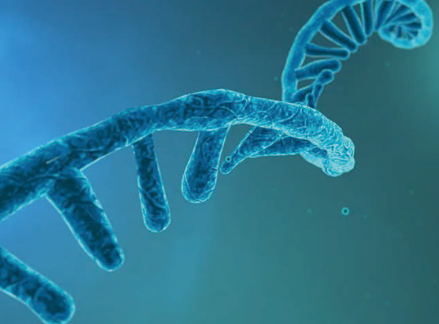 硬“核”新质出产力！陈春麟博士参与中国药学会核酸药物专业委员会成立大会