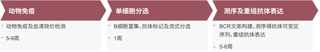 esball单B细胞抗体发显旖台