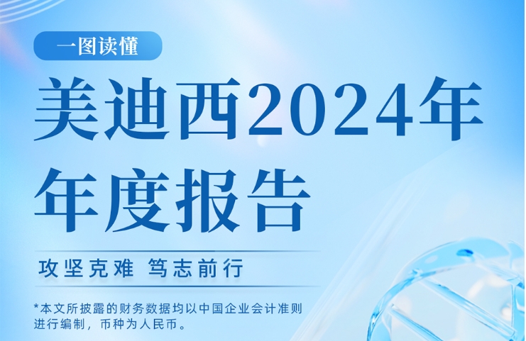 esball2024年年度汇报