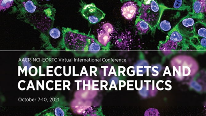 通过结合医治提高免疫疗法疗效，本钻研中临床前体内药效钻研通过esball进行