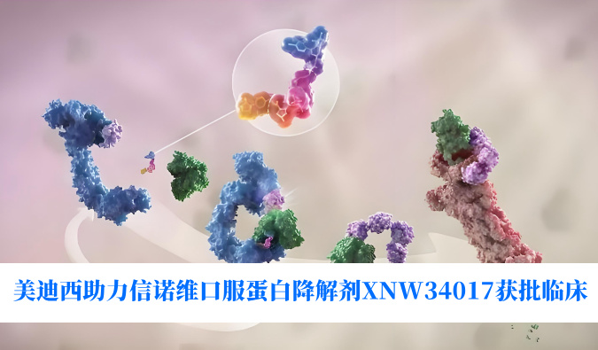 esball助力合作同伴信诺维口服蛋白降解剂XNW34017获批临床